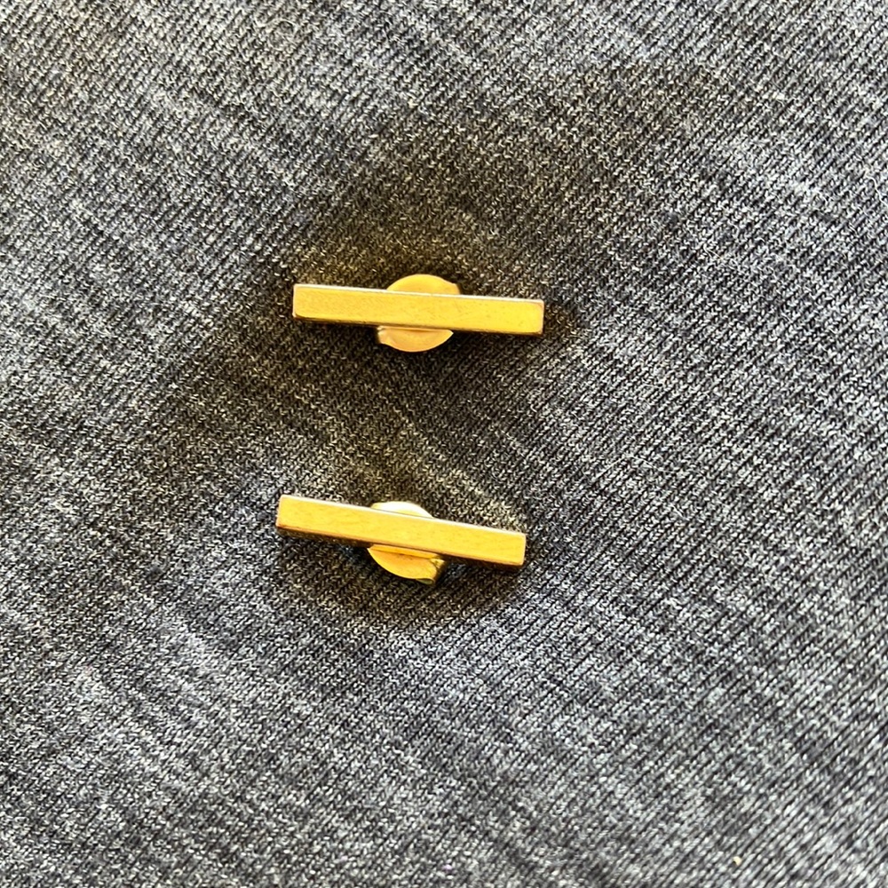 Gold colored bar shaped earrings